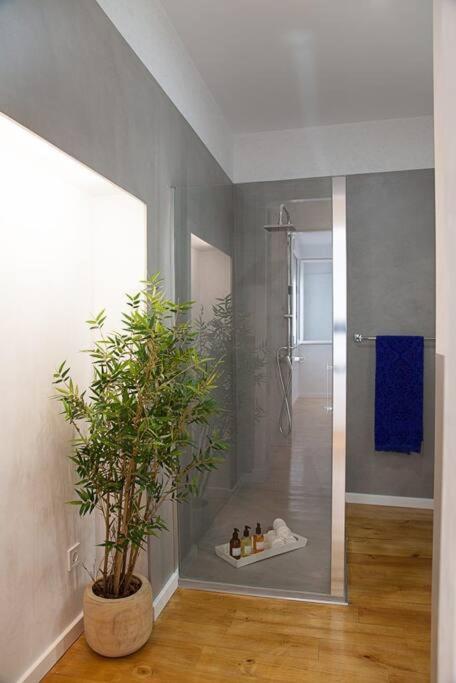 Cozy B&B In The Center Of Madrid Apartamento